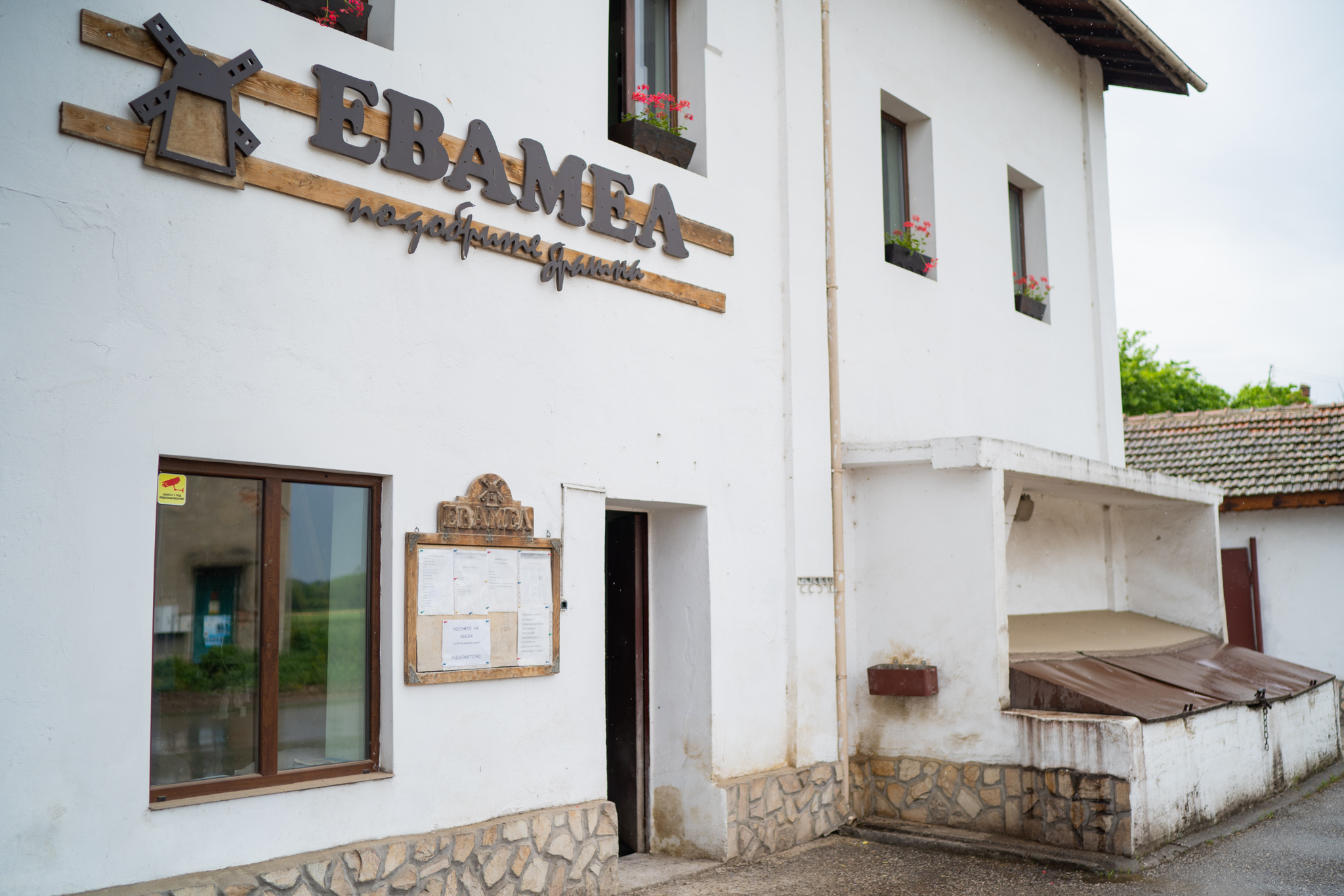 evamel-1.jpg