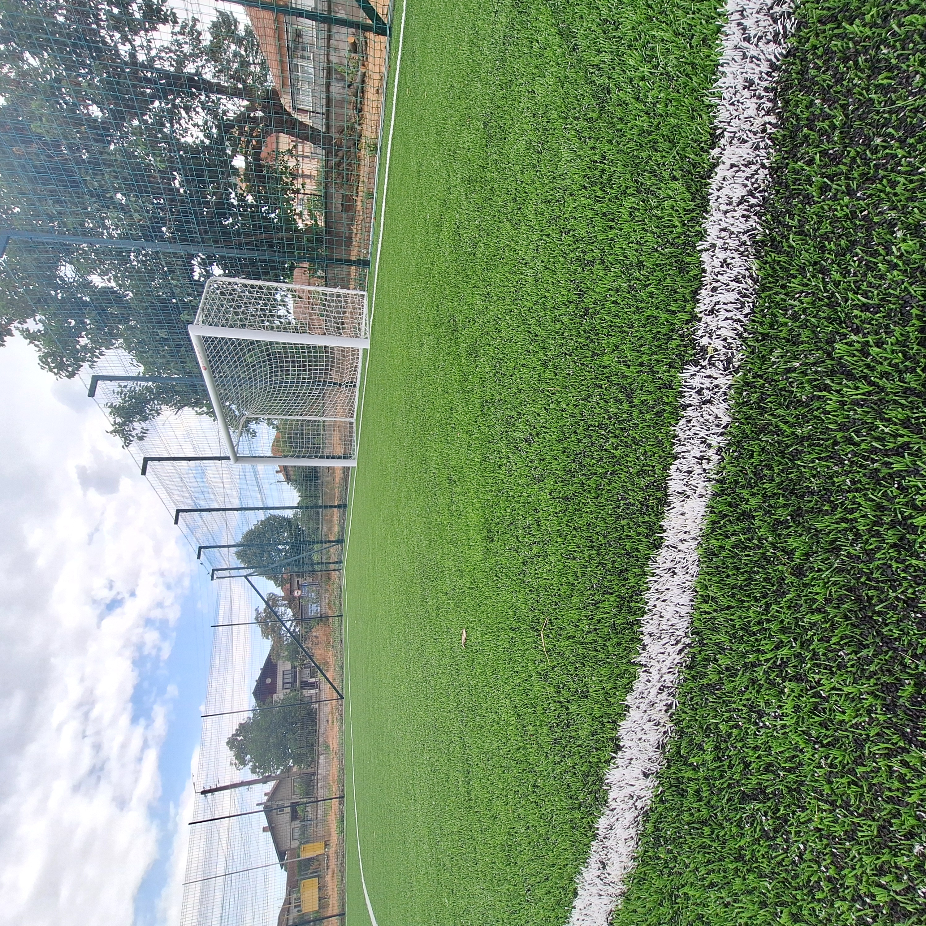 20250717_094239.jpg