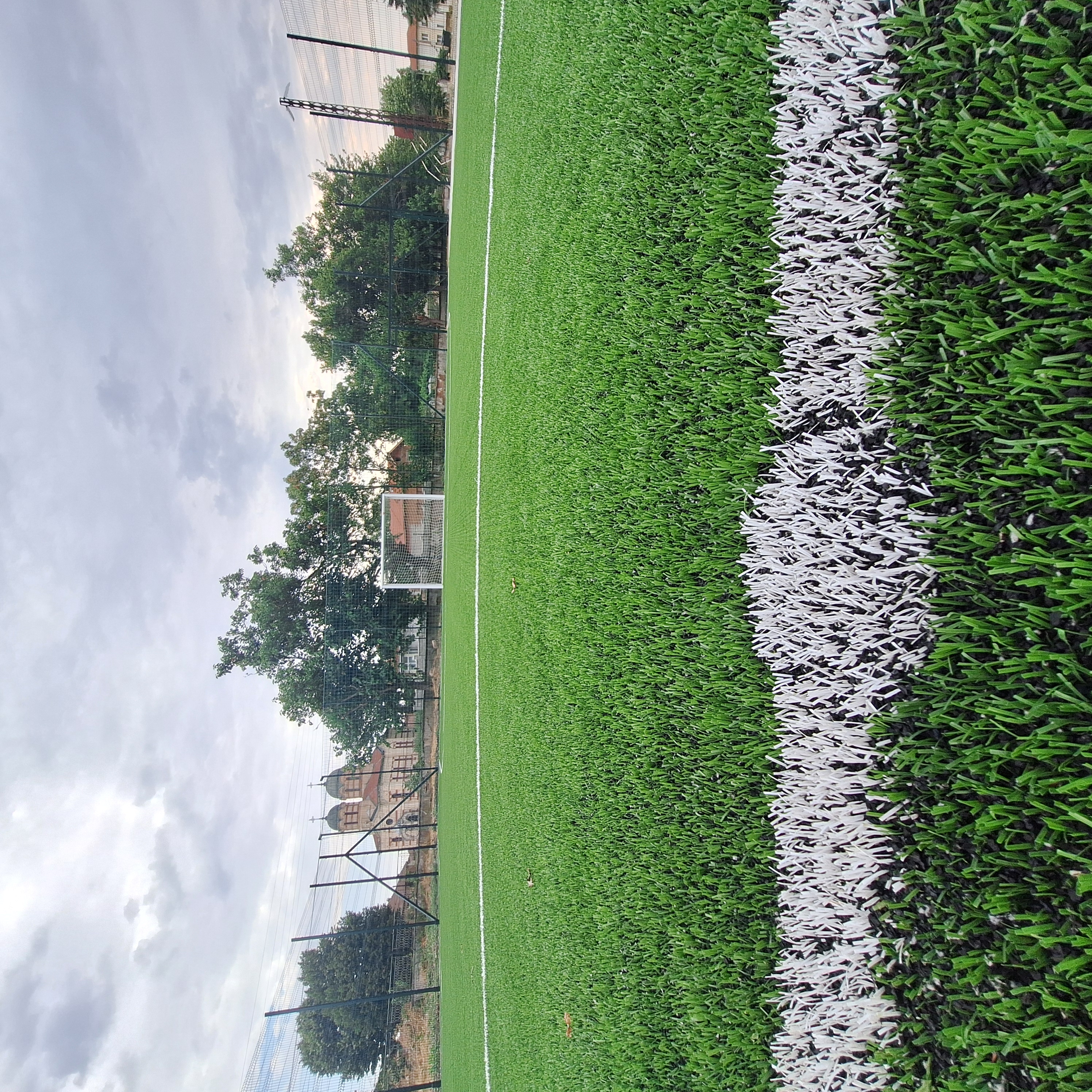 20250717_094428.jpg