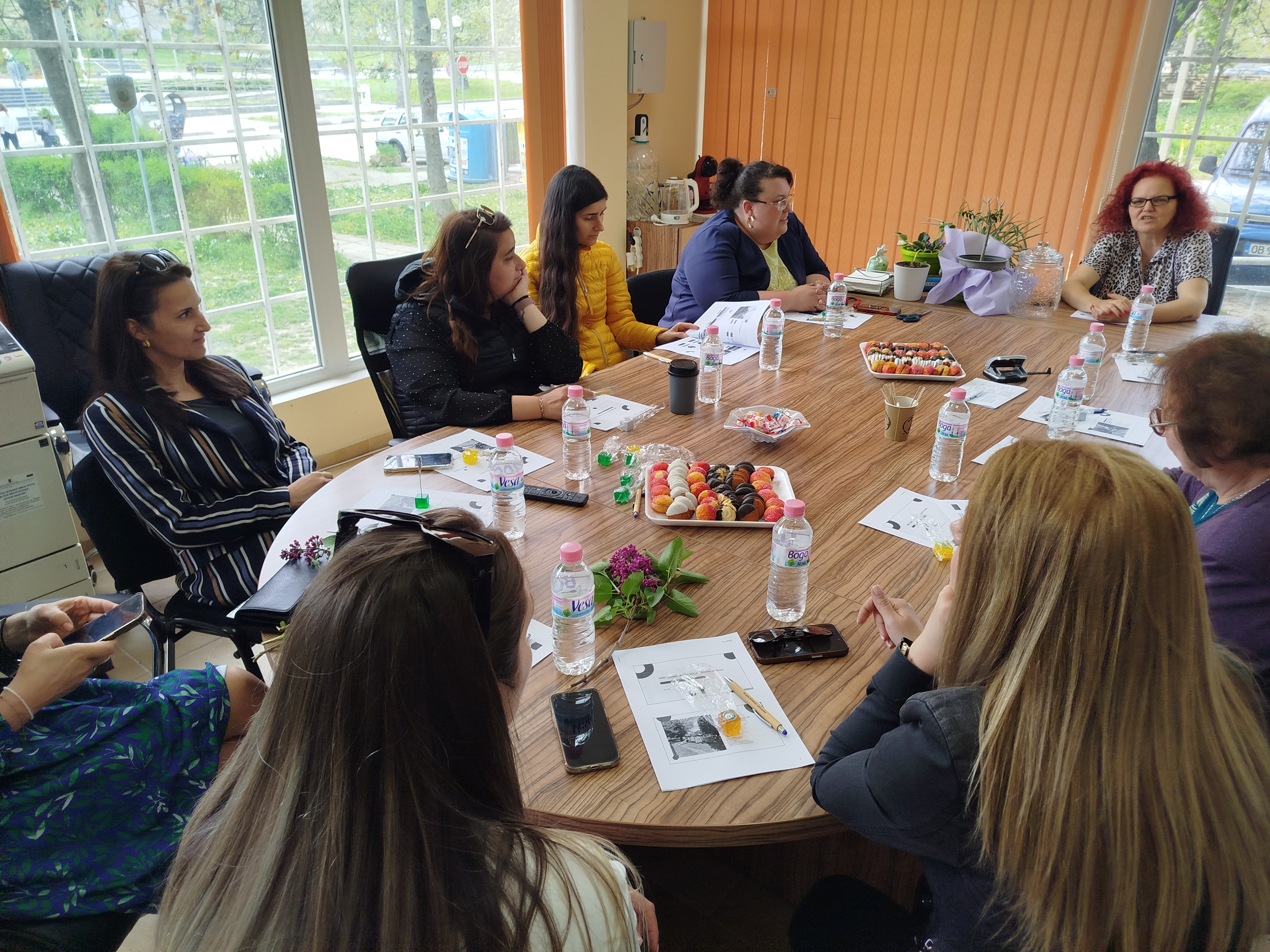 Долна Митрополия.jpg