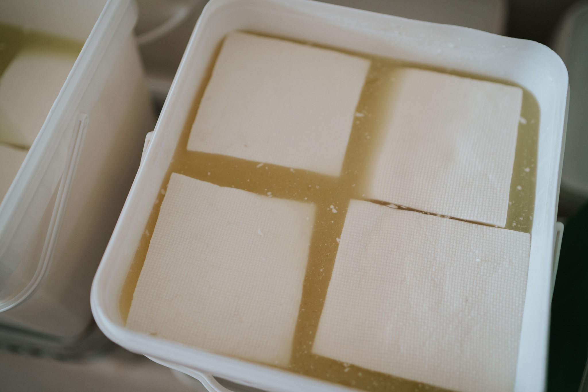 ovce-29.jpg