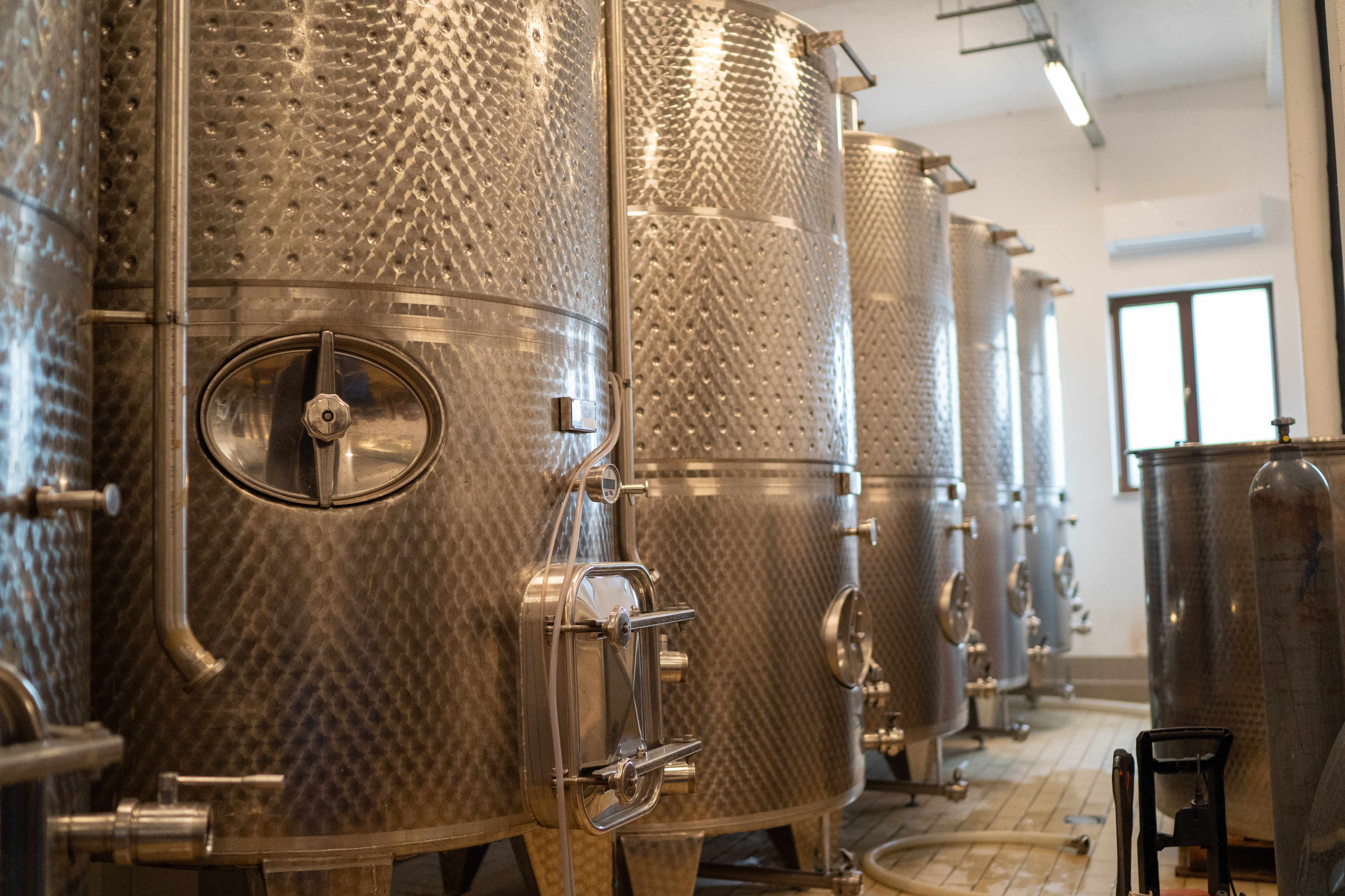 wine-42.jpg